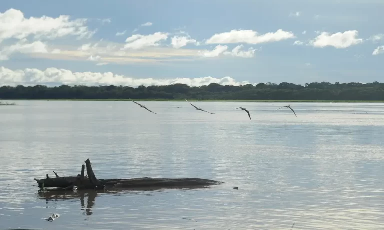 195milpescadoresdoAMPAeAPcomeamareceberAuxlioEmergencialconfiralistademunicpioscontemplados_0017761001738792806.webp