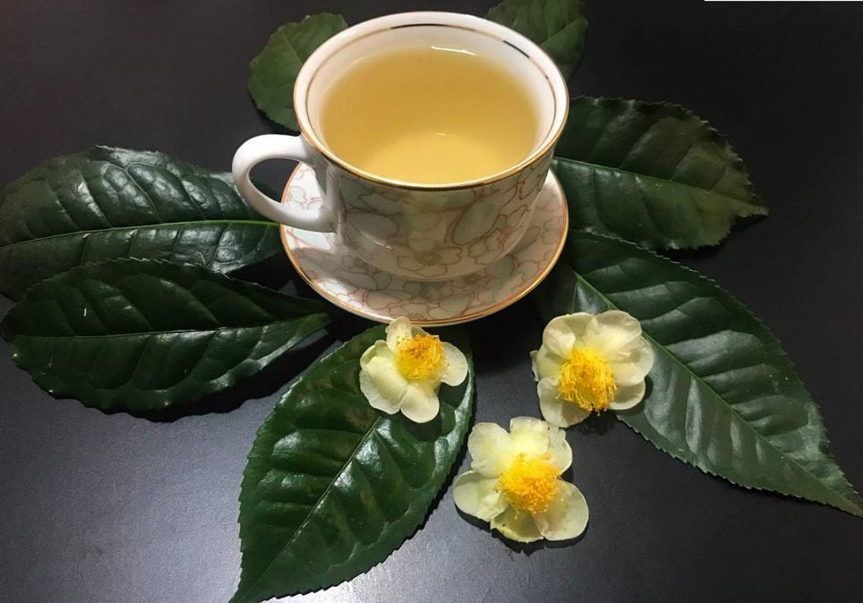 chá verde chá verde