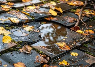 Outono sem influência do La Niña ou El Niño: o que esperar do clima