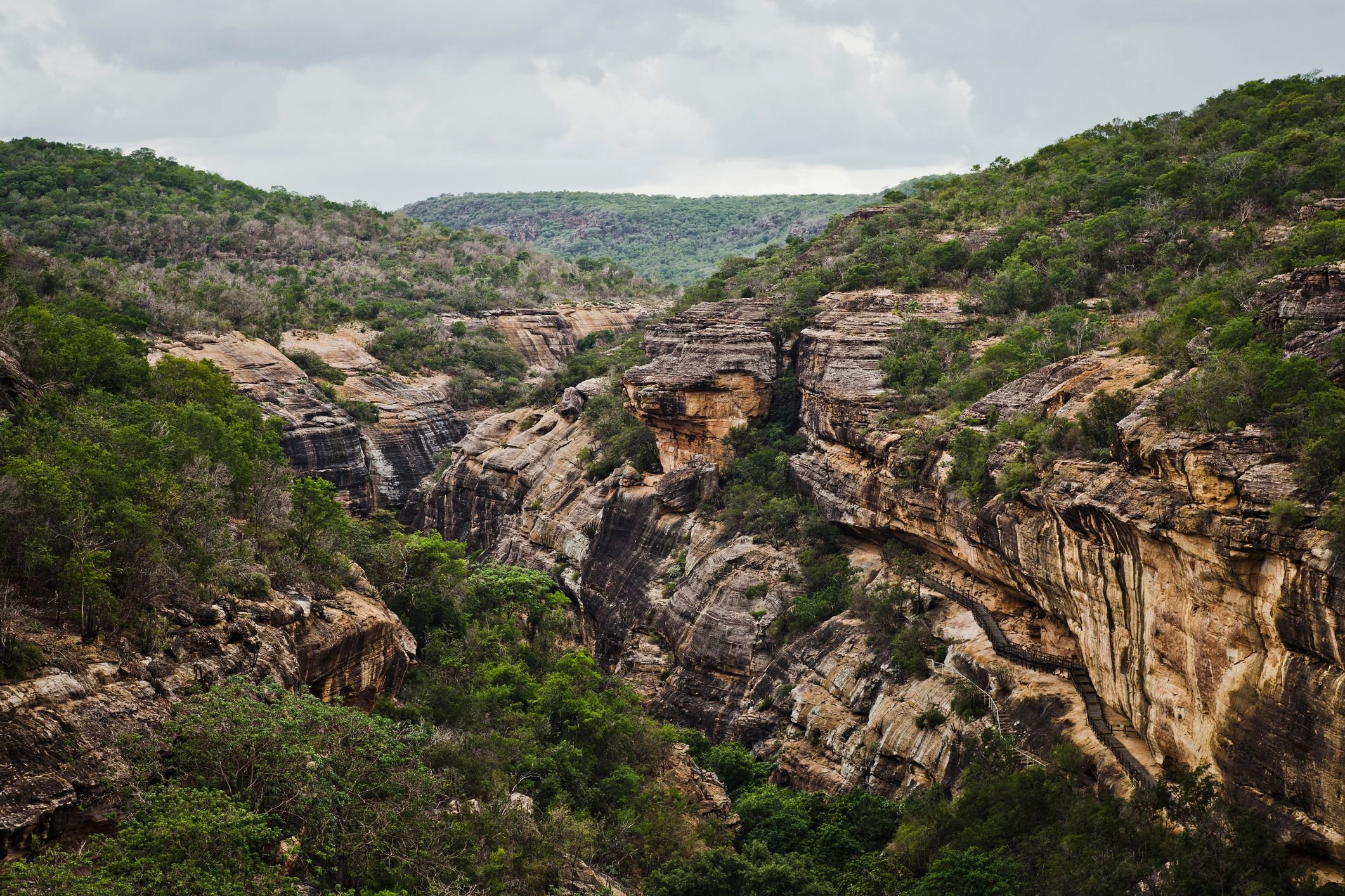 imagem-do-parque-nacional-da-serra-da -capivara.jpg