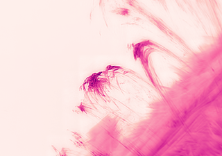 Imagens impressionantes da coroa solar divulgadas: Primeiro progresso na sua observação em 80 anos