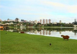 Esses são os 5 parques mais bonitos de Curitiba; conheça 