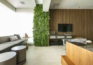 Jardins verticais: 6 plantas para ter um bonito e surpreendente e dicas de como montar