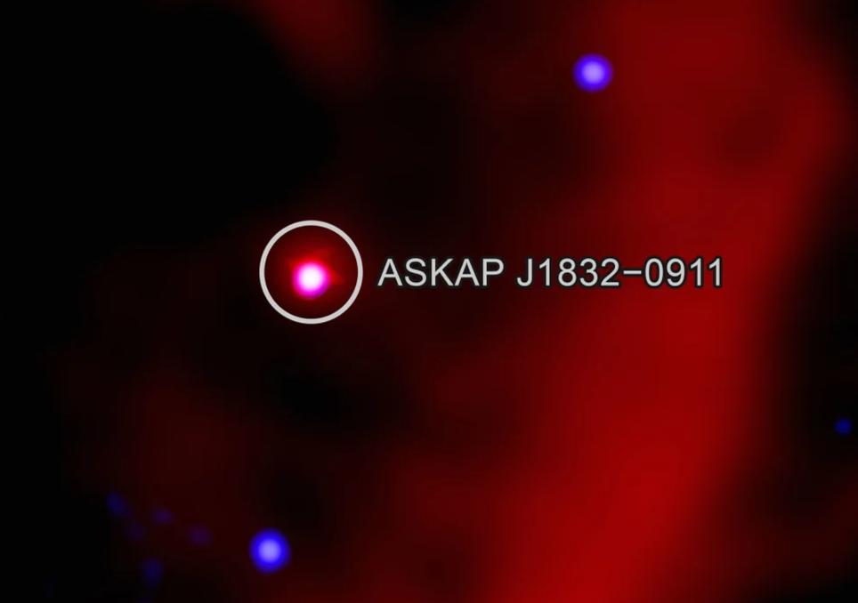 Observação do objeto ASKAP em rádio e raios-X que foi obtida pelos telescópios ASKAP e Chandra. Crédito: Wang et al. 2025