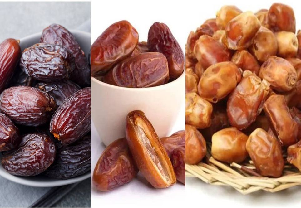 variedades de tâmaras variedades de tâmaras