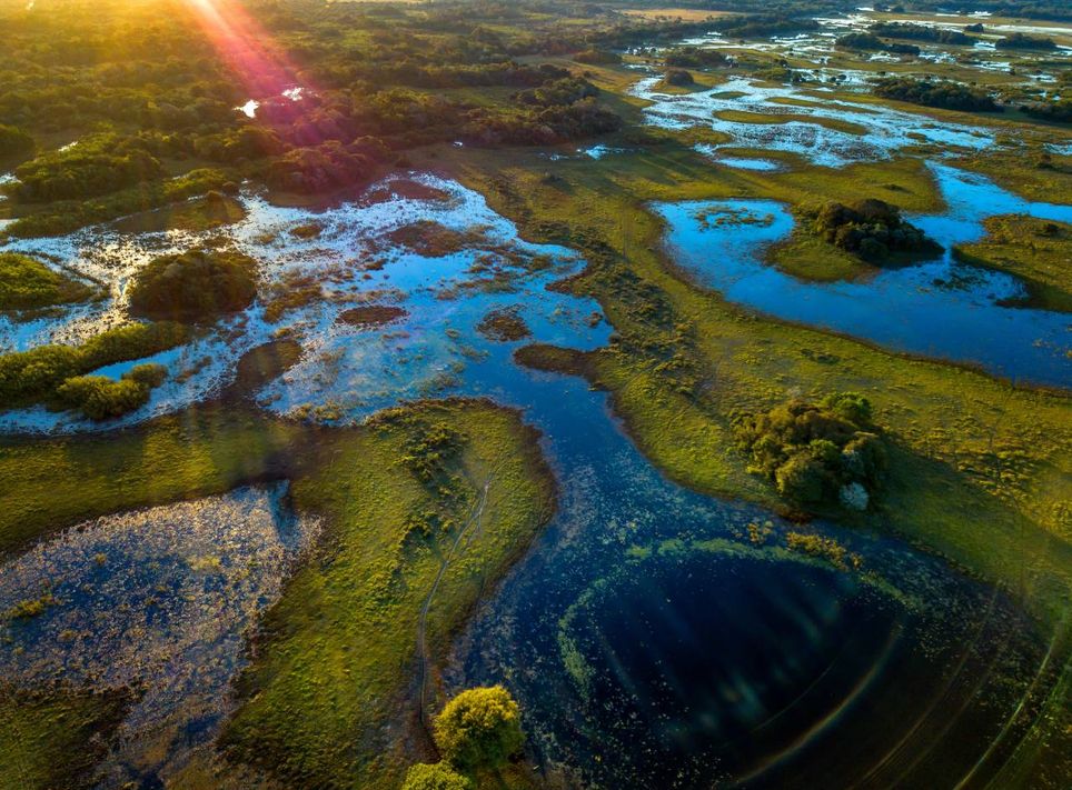 Pantanal Pantanal