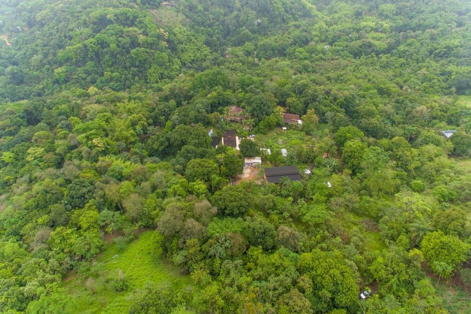 Restaurar para prosperar: o pacto pela Mata Atlântica e a virada verde que começa nas fazendas