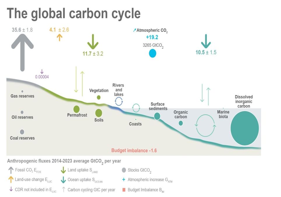 Ciclo global do carbono