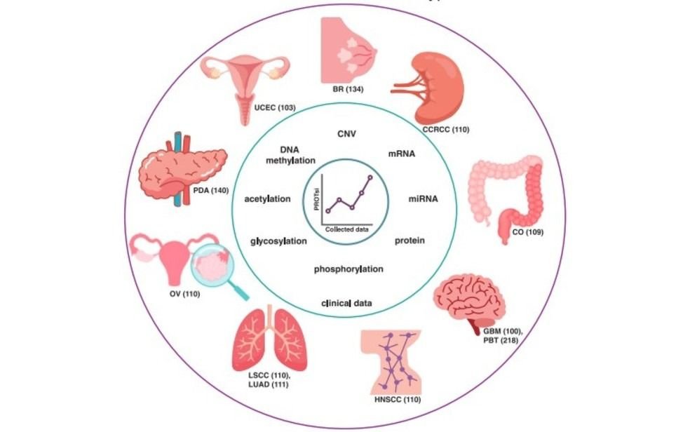 pesquisadores-criam-ia-para-detectar-agressividade-cancer