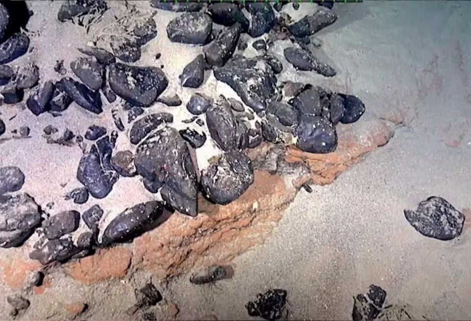 Imagens feitas com veículo não tripulado mostram cânion que corta Elevação do Rio Grande — Foto: Luigi Jovane/USP