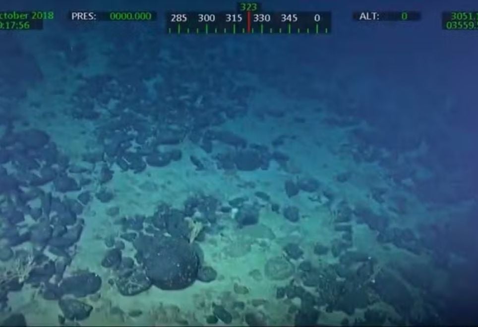 A Elevação do Rio Grande se encontra em águas internacionais e, até então, é considerada patrimônio comum da humanidade.