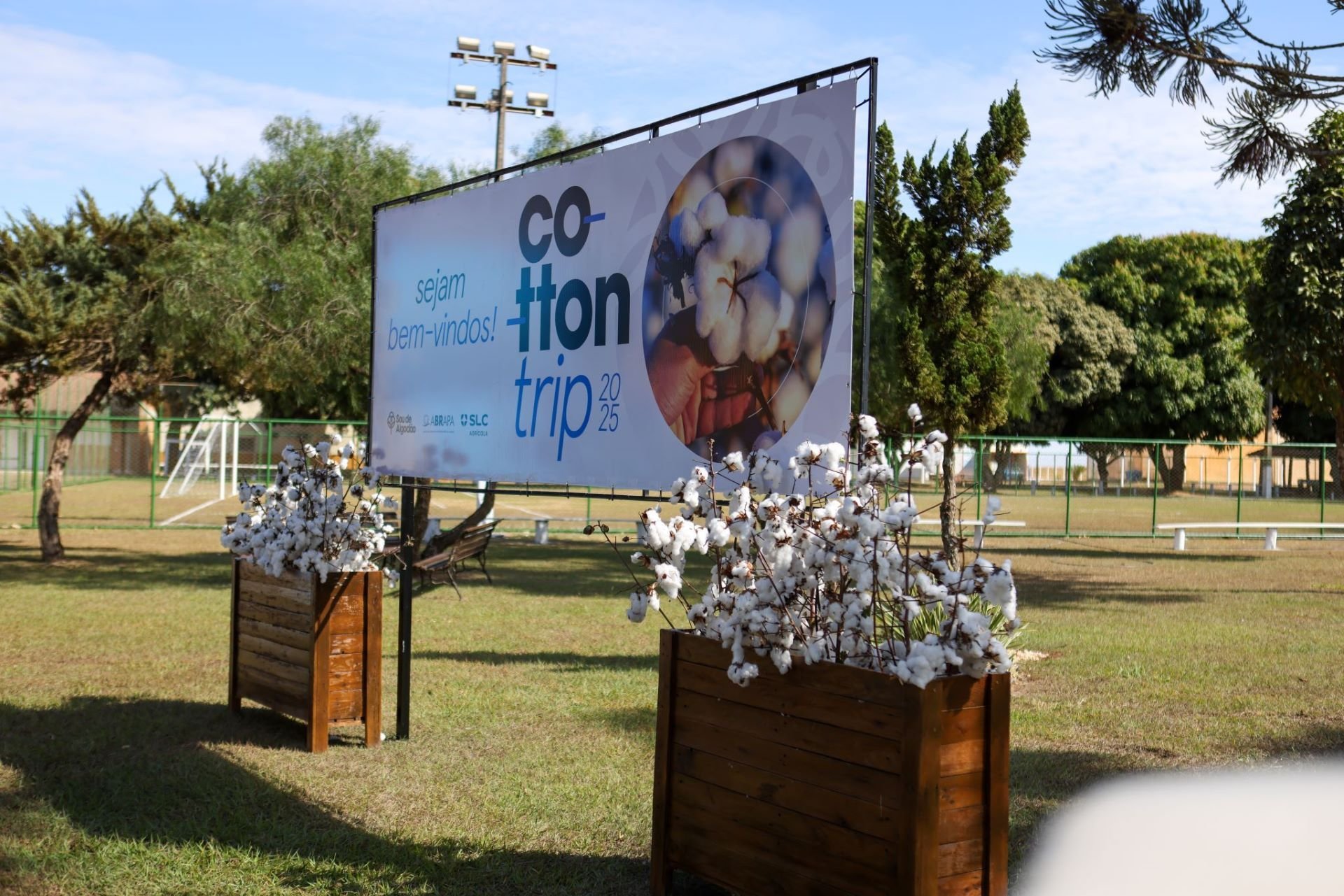 Algodão brasileiro é tecnologia nacional conquistando o mundo