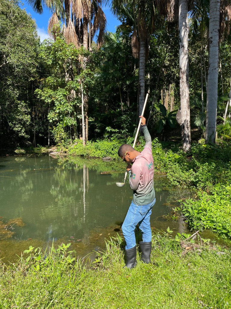 Pesquisa analisa óleos essenciais extraídos de plantas como bioinseticida contra os mosquitos vetores e agente causadores da malária e dengue FotoAcervo do laboratório de Malária e D (3)