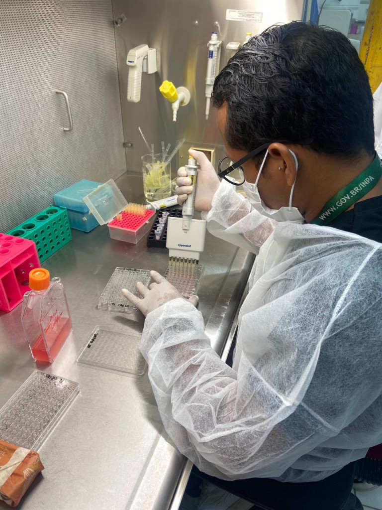 Pesquisa analisa óleos essenciais extraídos de plantas como bioinseticida contra os mosquitos vetores e agente causadores da malária e dengue FotoAcervo do laboratório de Malária e D (6)