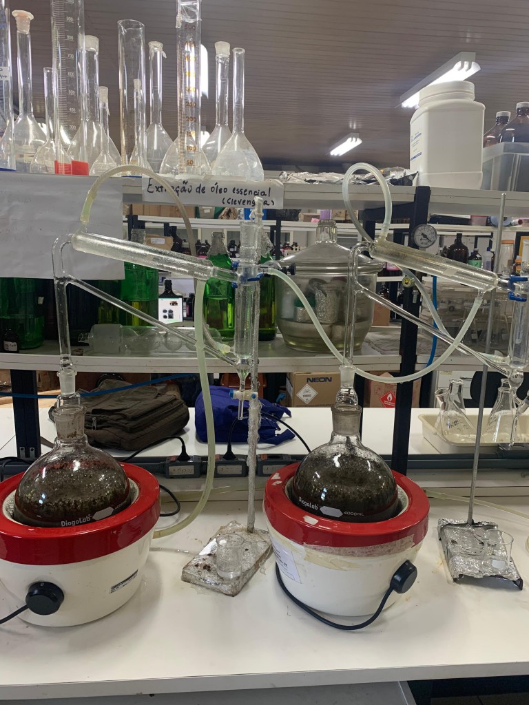 Pesquisa analisa óleos essenciais extraídos de plantas como bioinseticida contra os mosquitos vetores e agente causadores da malária e dengue FotoAcervo do laboratório de Malária e D