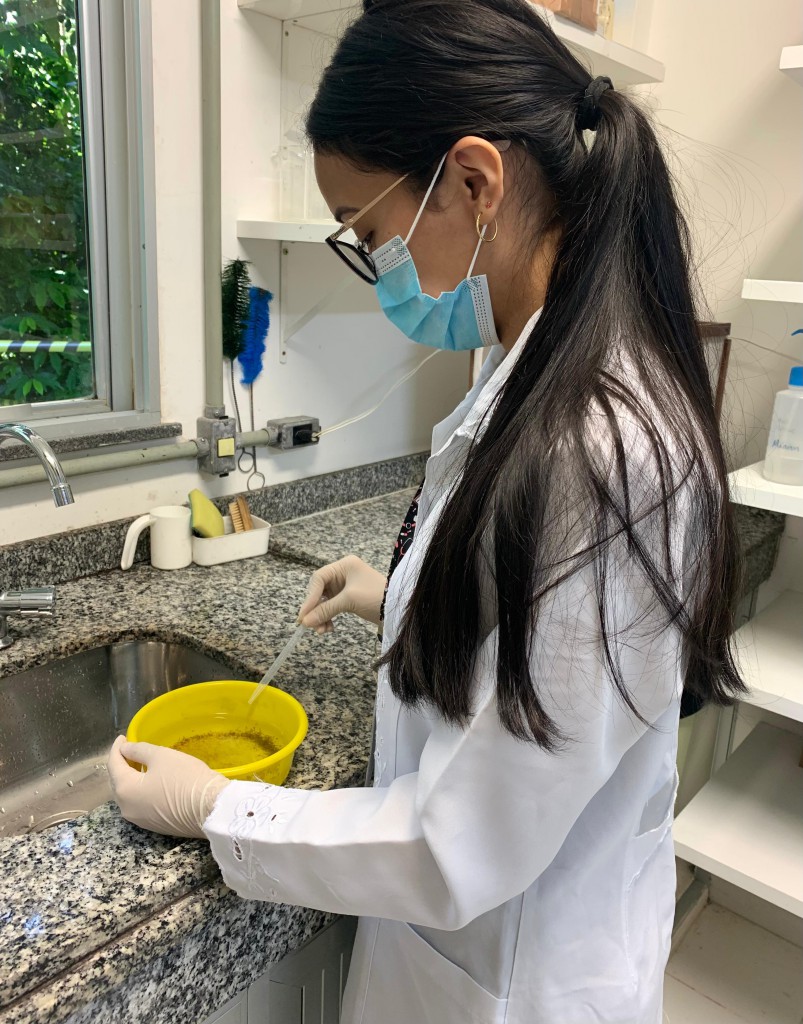 Pesquisa analisa óleos essenciais extraídos de plantas como bioinseticida contra os mosquitos vetores e agente causadores da malária e dengue FotoAcervo do laboratório de Malária e D (9)