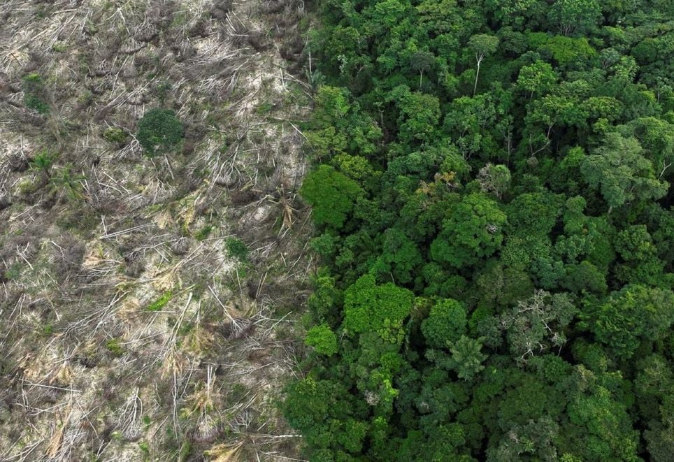 Área desmatada no bioma Amazônia mostra contraste entre vegetação nativa e solo exposto. Em 40 anos, Brasil perdeu mais de 111 milhões de hectares de áreas naturais, segundo o MapBiomas. Área desmatada no bioma Amazônia mostra contraste entre vegetação nativa e solo exposto. Em 40 anos, Brasil perdeu mais de 111 milhões de hectares de áreas naturais, segundo o MapBiomas.