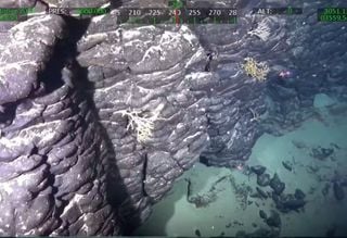 Brasil reivindica gigantesca 'ilha submersa', rica em minerais estratégicos