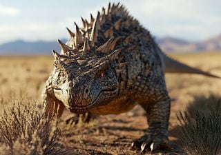 Dinossauros não rugiam, eles cantavam: fóssil de laringe descoberto sugere vocalização semelhante à de pássaros