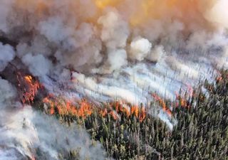Fumaça do outro lado do Atlântico: incêndios no Canadá agora afetam a Europa