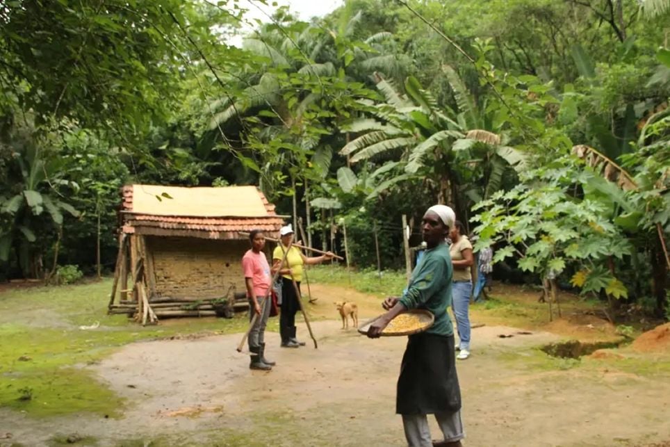 Estudo mostra territórios destes Povos com menor perda florestal, mais biodiversidade e retenção de carbono.