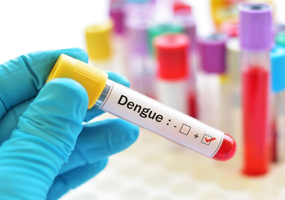 dengue