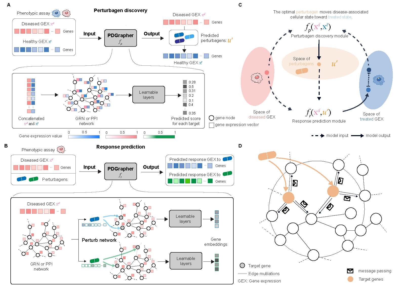 ilustracao-mostrando-o-funcionamento-do-modelo-pdgrapher