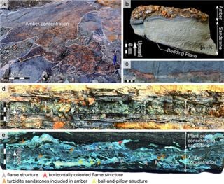 Cientistas descobrem que âmbar antigo pode conter vestígios de tsunamis ocorridos há milhões de anos