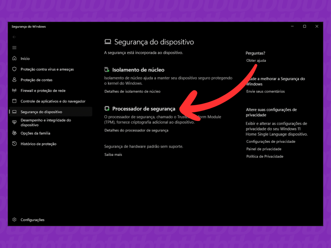 Imagem do menu "Segurança do Windows" indicando a presença do TPM