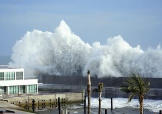 Como a energia de um tsunami consegue atravessar todo o Oceano Pacífico? A ciência explica