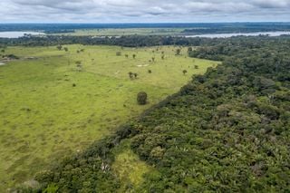 Exploração da floresta amazônica aumenta a vulnerabilidade ao fogo na estação seca, segundo estudo