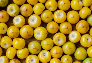 Murici: fruta tropical tem mais proteína que a banana e quatro vezes mais vitamina C