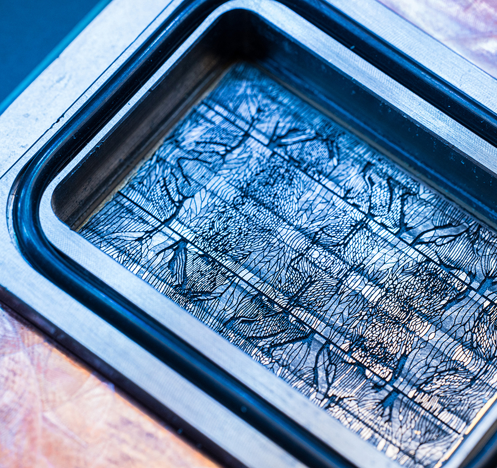 Imagem mostra os detalhes de um chip de IA 