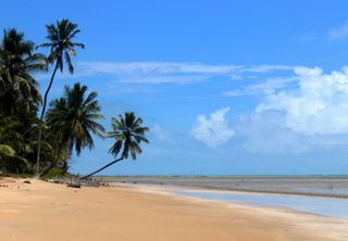 Nordeste fora do óbvio: conheça 6 destinos praianos escondidos que ainda não lotaram