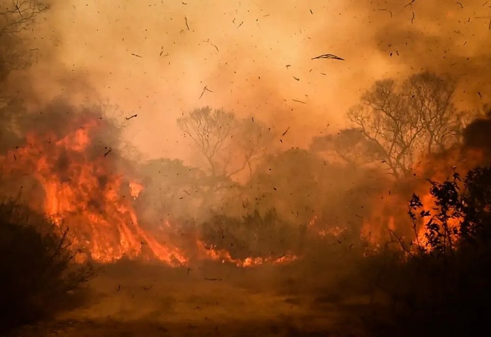 Incêndio destroi o Pantanal, no Mato Grosso do Sul, em 2023: bioma sofre com secas severas em consequência da devastação do Cerrado (Getty/Getty Images) Leia mais em: https://veja.abril.com.br/agenda-verde/cerrado-perde-vegetacao-nativa-diz-mapbiomas/ Incêndio destroi o Pantanal, no Mato Grosso do Sul, em 2023: bioma sofre com secas severas em consequência da devastação do Cerrado (Getty/Getty Images) Leia mais em: https://veja.abril.com.br/agenda-verde/cerrado-perde-vegetacao-nativa-diz-mapbiomas/
