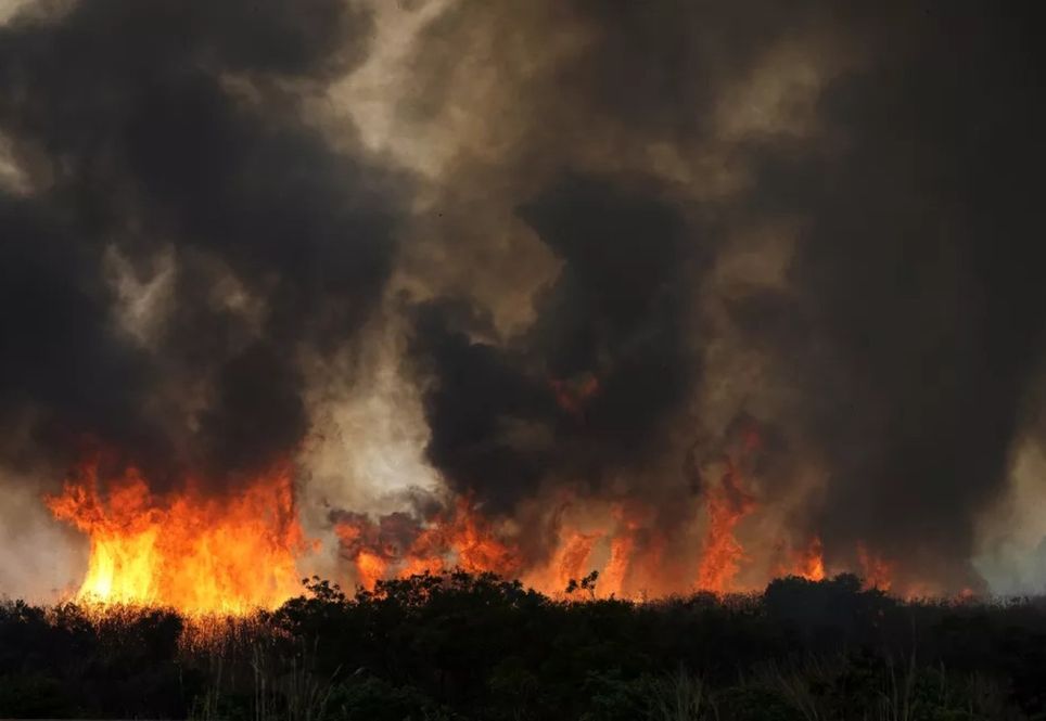 Foto mostra incêndio no Cerrado em Brasília no dia 21 de setembro. — Foto: Eraldo Peres/AP Foto mostra incêndio no Cerrado em Brasília no dia 21 de setembro. — Foto: Eraldo Peres/AP
