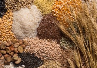 As culturas geneticamente modificadas poderiam reduzir as emissões de gases de efeito estufa?