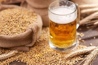 Cientistas italianos criam sistema para produzir cerveja de forma mais sustentável: 'reduzindo o consumo de energia'