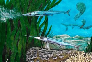 Pesquisadores brasileiros descobrem nova espécie de peixe pré-histórico na Antártica