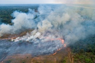 Queimadas em 2025: menos focos, mas ainda preocupa. O que muda para pastagens, abelhas e lavouras?