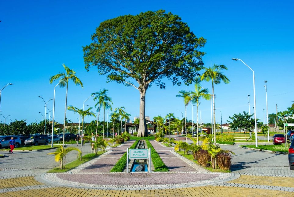 Parque Estadual do Utinga integra a Trilha Amazônia Atlântica, ponto de destaque da nova rota ecológica no Pará.