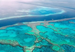 Por que o som da água e dos sinos de vento podem nos acalmar em momentos de estresse?