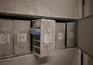 ‘Arca de Noé’ dos micróbios: o biobanco para salvar microrganismos importantes para a saúde do planeta