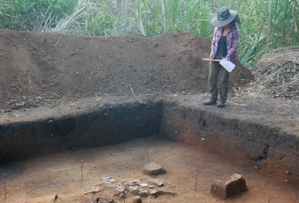 Arqueólogos encontraram resquícios de campos de cultivo, represas, sepulturas e canais na amazônia boliviana