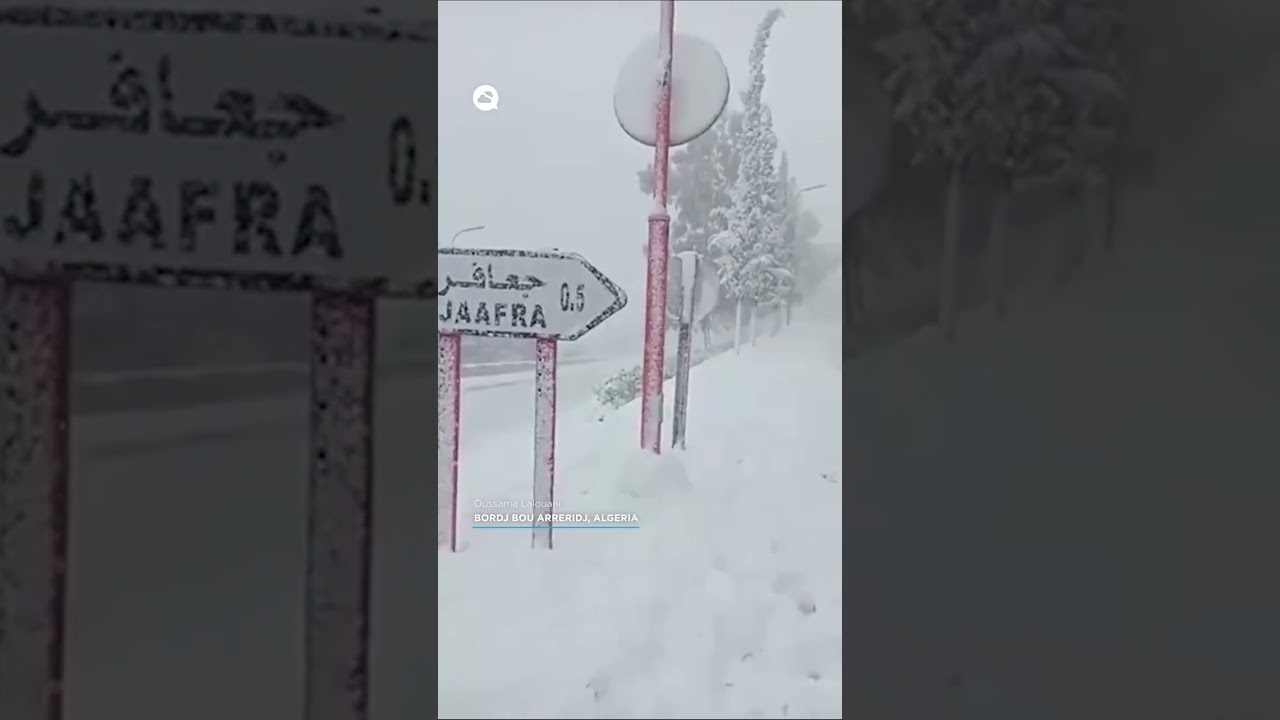 youtube video id=VYxTk_hO51Y