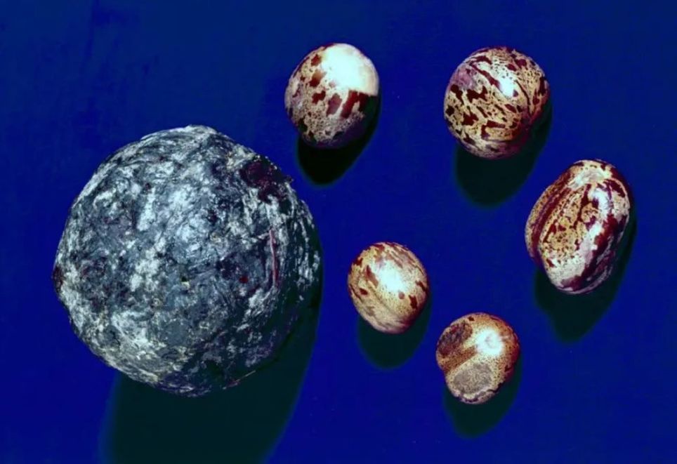 Bola de látex feita por indígenas da Amazônia e as sementes de seringueira