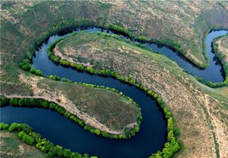 Rios do mundo estão liberando carbono antigo de volta para a atmosfera, afirma estudo na Nature