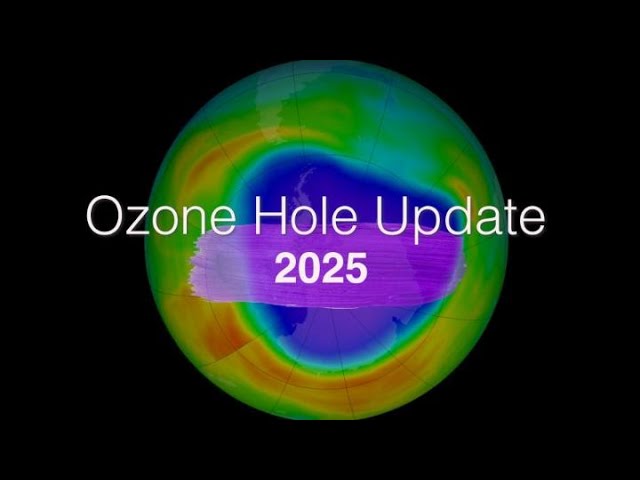 youtube video id=FQQ1UzFFetk