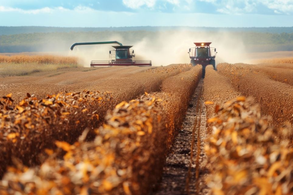 Soja, Rio Grande do Sul, minas Gerais