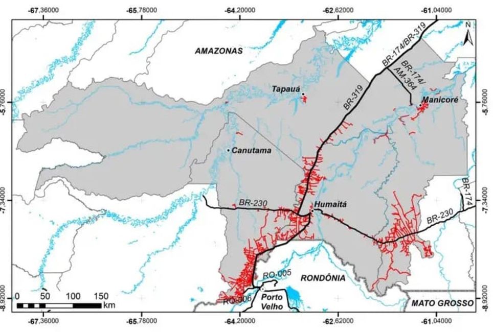 Mapa mostra ramais na floresta que acompanham a BR-319 nos municípios de Canutama, Humaitá, Manicoré e Tapauá, no sul do Amazonas - Arte/Nota técnica OBR-319